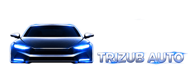 TrizubAuto